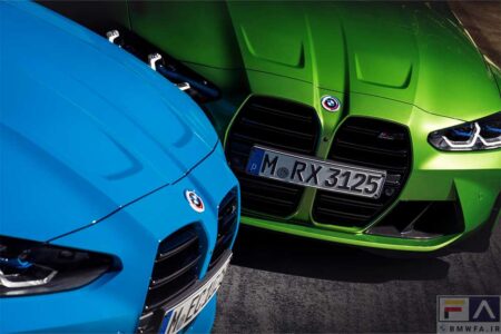 BMW M 50th Anniversary Badge